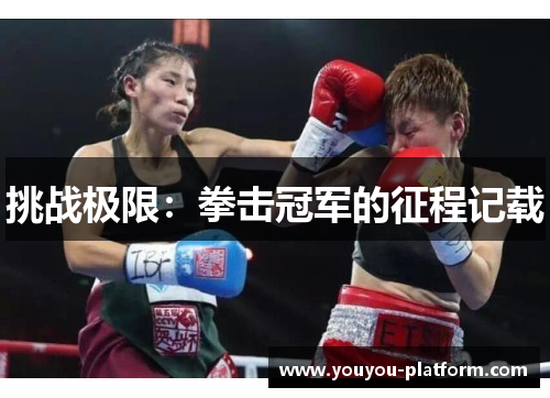 挑战极限：拳击冠军的征程记载