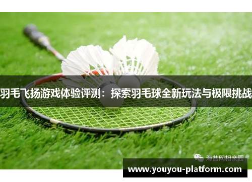 羽毛飞扬游戏体验评测：探索羽毛球全新玩法与极限挑战